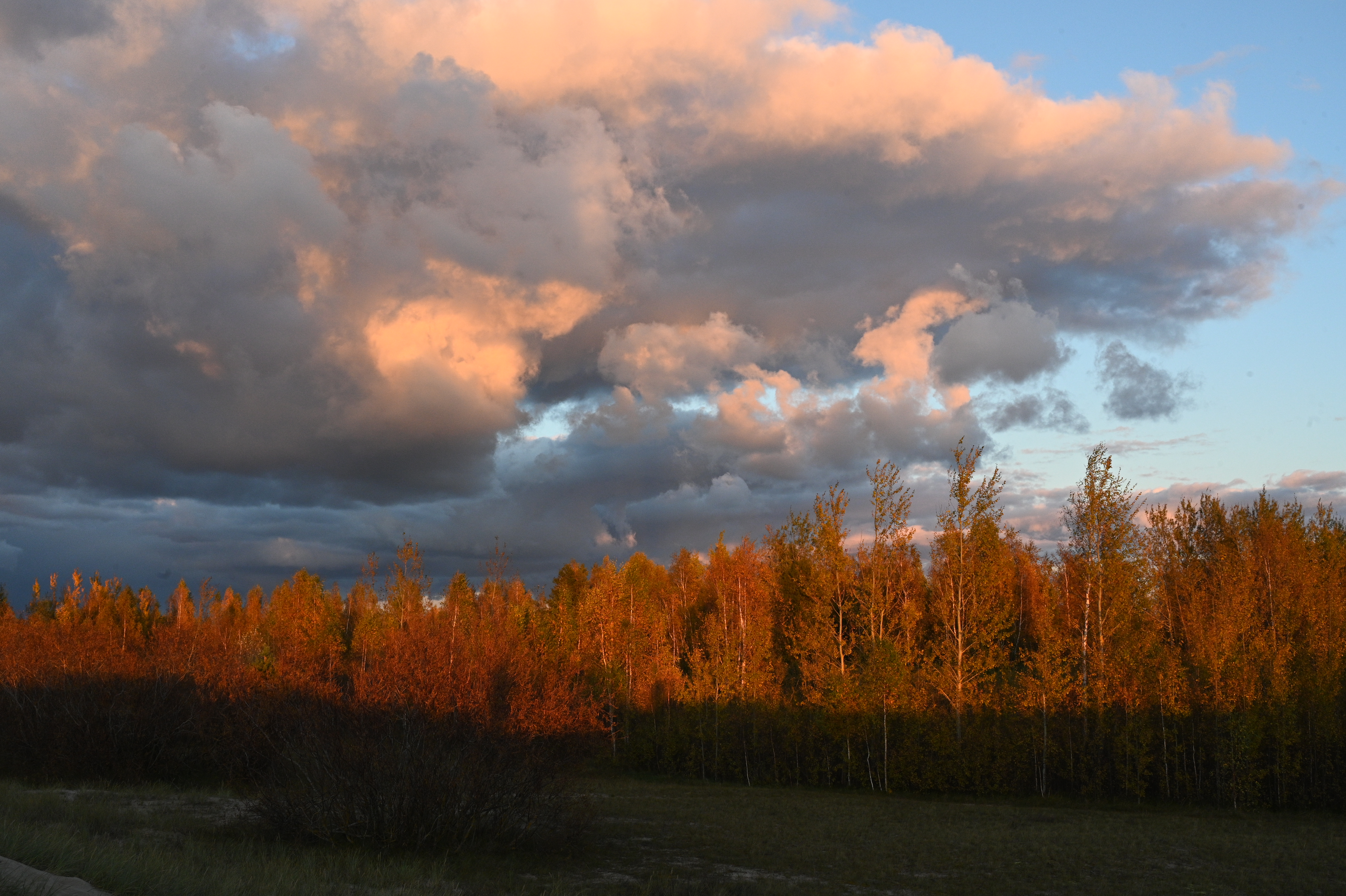 2025/10/18 - walk/DSC_0403.JPG